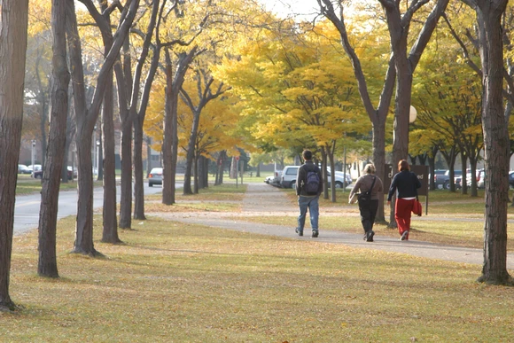 Grove of trees by the Fredonia campus Science Center