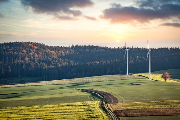 wind turbines in a field. Earning an Environmental Sciences degree prepares  graduates for a great career!