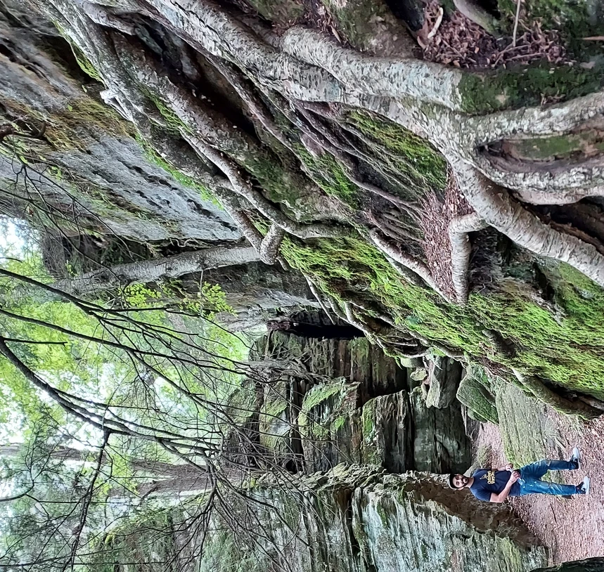 Hiking Panama Rocks