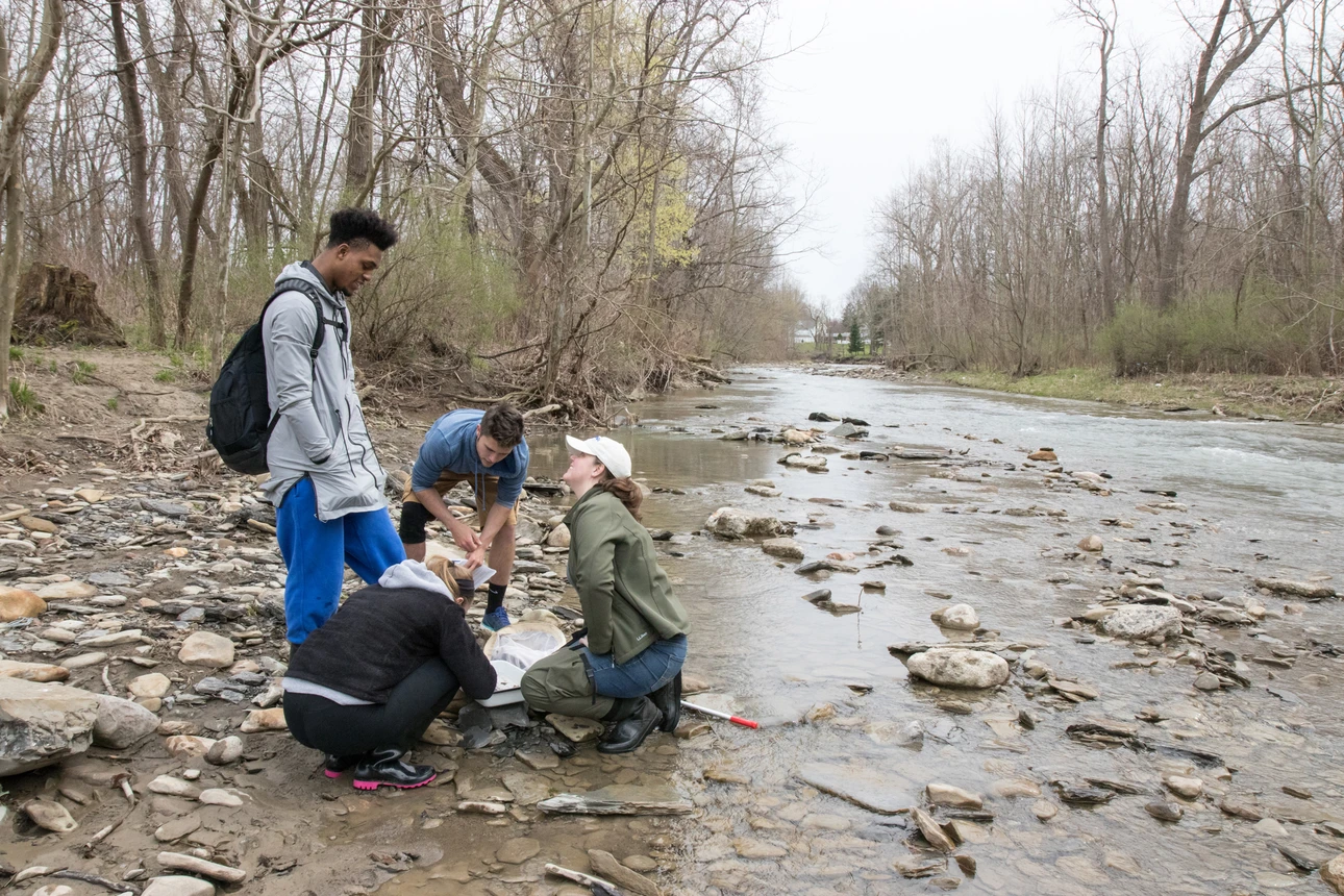 Biology students collect samples in a local creek