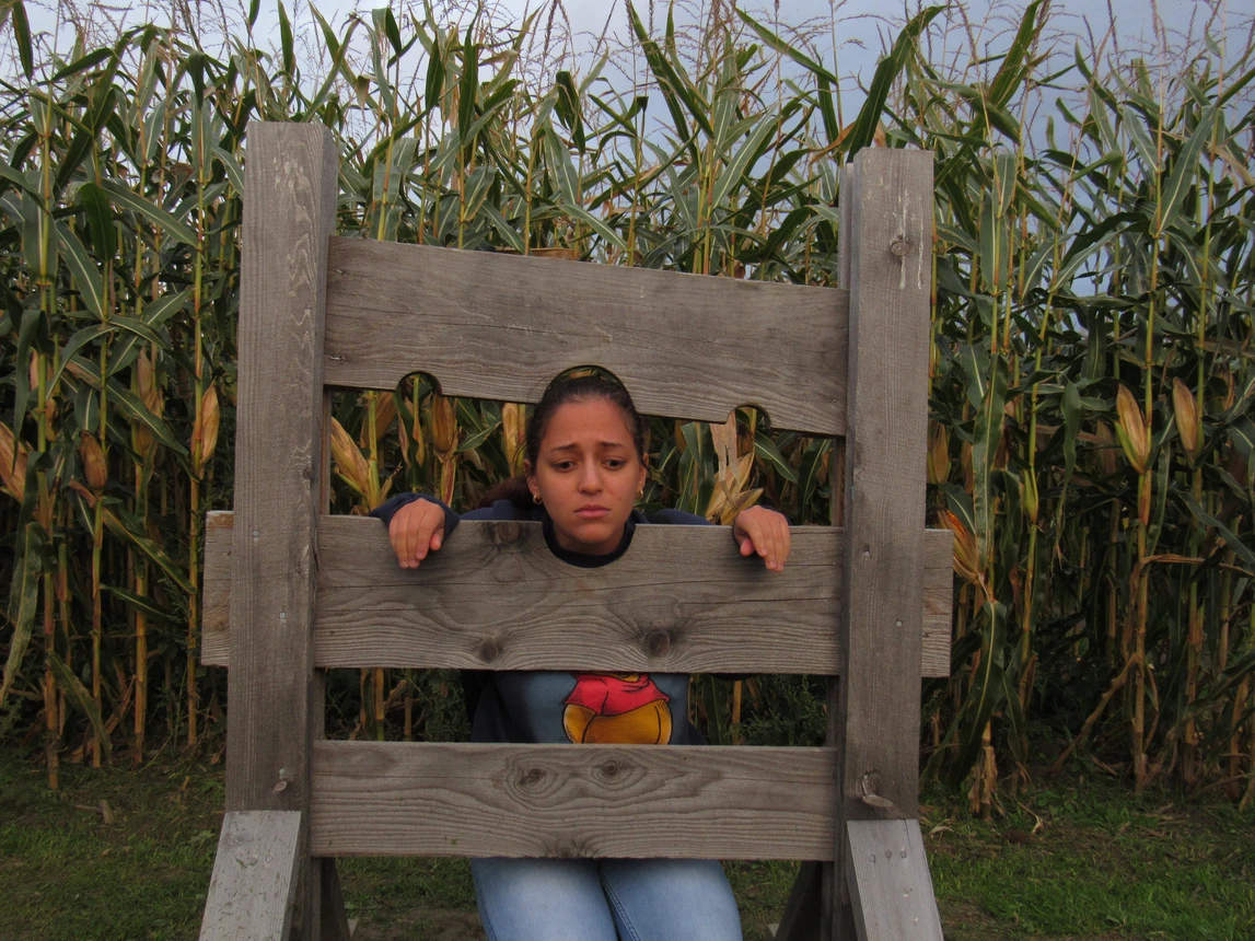 Corn Maize: Causing Trouble
