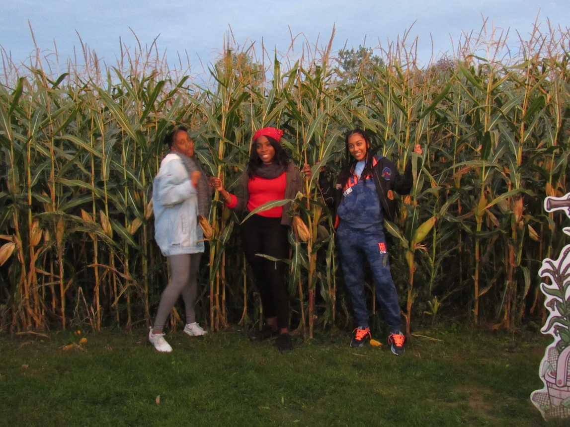 Corn Maize: Always ready for a good photo op!