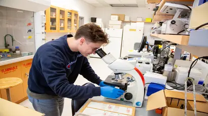 A biology student hard at work in the lab