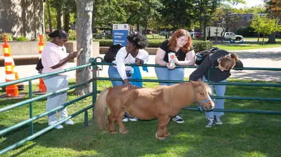 Fredonia students engaging with therapy horses on campus
