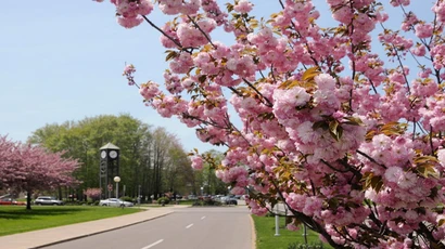 Front of campus