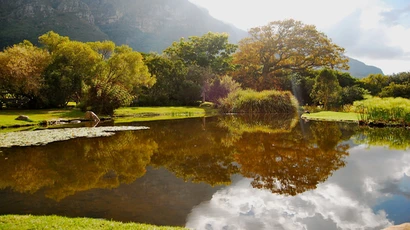 Kirstenbosch Botanical Garden, South Africa