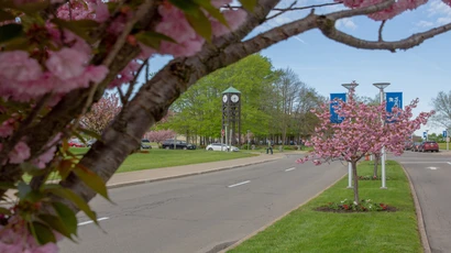 Campus Entrance Spring
