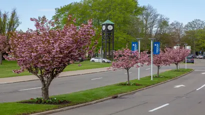 Campus entrance in the Spring