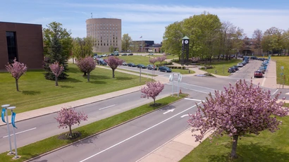 Campus Entrance Spring