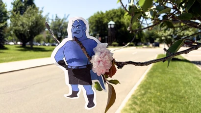 Flat Freddy on a tree