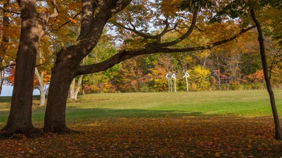 photo of three-man hill in the fall