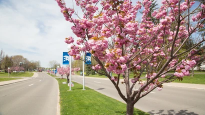 Tobacco Free Campus