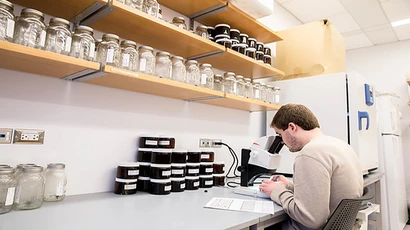 A student looks into a microscope. Earth science major, earth sciences degree, degree in earth science, earth science degree.