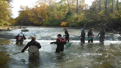 Students work in a local creek. Environmental sciences degree,  whats environmental science, degree in environmental sciences, environmental sciences major.