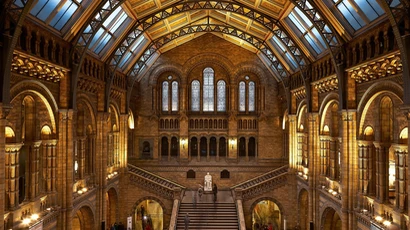 Natural History Museum in London, UK. Major in history, jobs for a history major, history major, degree in history.
