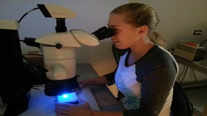 A student looks into a microscope. Molecular genetics degree, molecular genetics major, degree in molecular genetics.