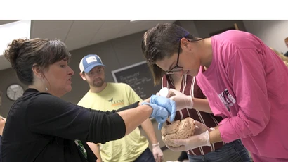 psychology major students working in a classroom; degree in psychology, psychology major