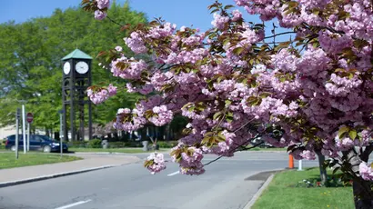Flowers by the entrance.