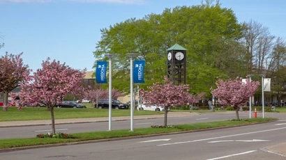 Campus Entrance 
