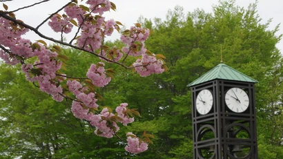 Payroll Services | Fredonia.edu