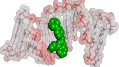 RNA with drug