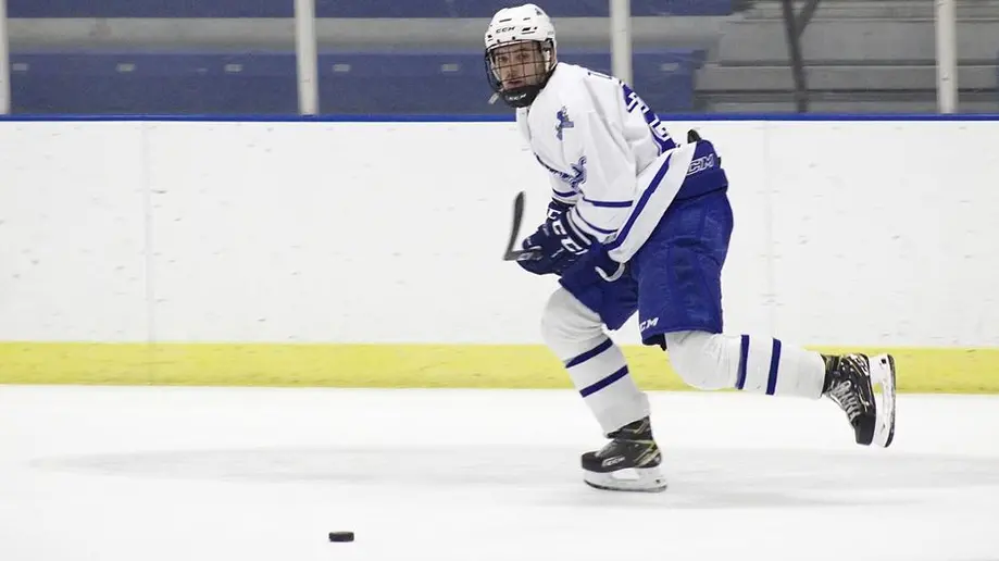 Johan Zollner playing hockey