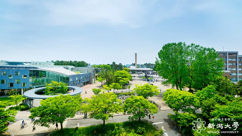 Niigata University