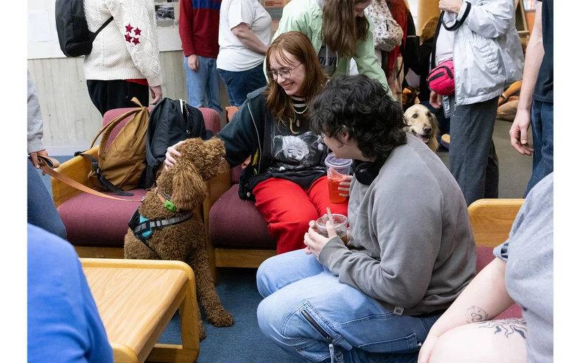 student interacting with therapy dog
