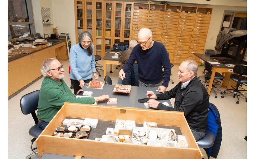 alumni work with objects in the relocated Stanley Museum