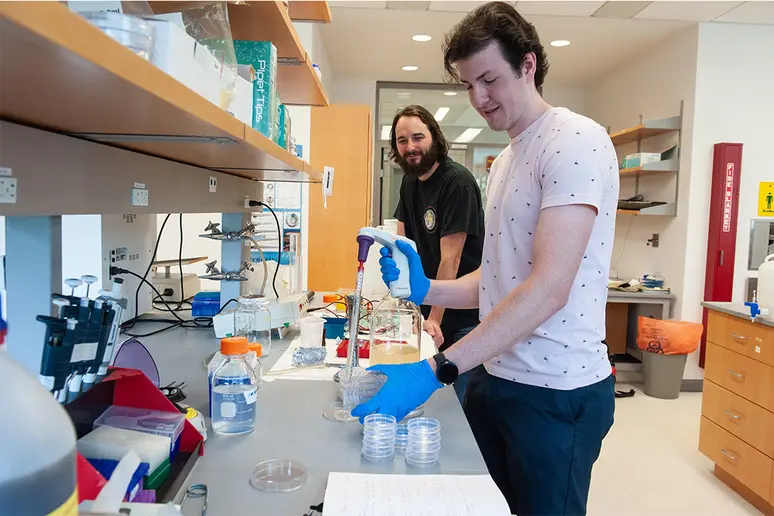 Harrison Youngers prepares plates to grow C. elegans worms as part of ongoing research being conducted this summer with Dr. Jonathan Kniss.