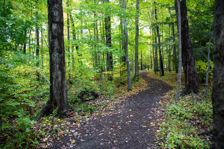 Phillips-Ulrich Community Trail on the SUNY Fredonia Campus