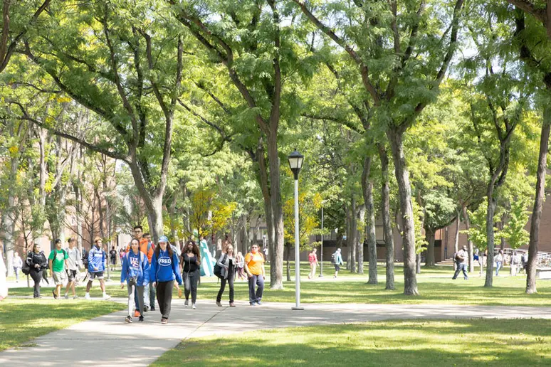 campus summer scene