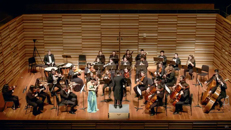 chamber orchestra in action