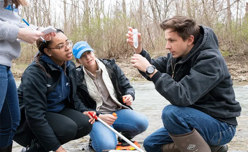 Students working in the field.