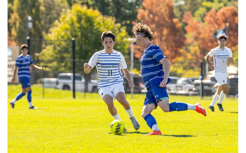 soccer players in action on the field
