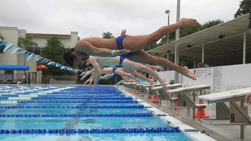swimmers diving into pool