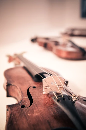 photo of violins