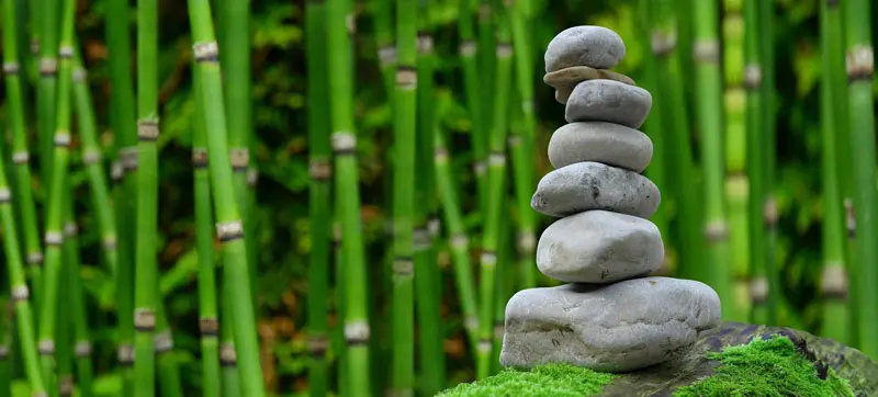 outdoor image of tranqulity