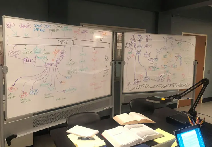 whiteboard images