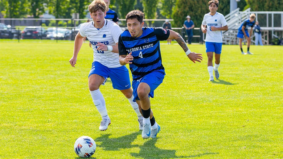 soccer players in action on the field