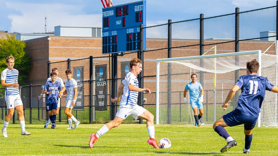 soccer players in action on the field