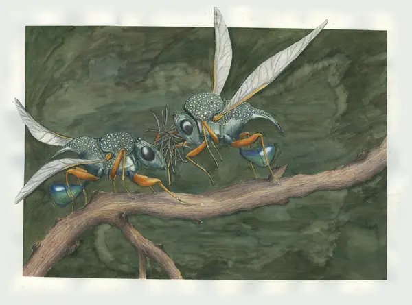 Southern-Tier-Biennial-entry-for-web