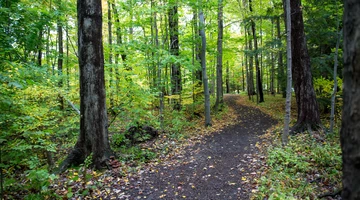 Phillips-Ulrich Community Trail on the SUNY Fredonia Campus