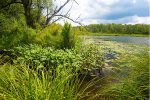 photo of the Chautauqua Lake region shoreline
