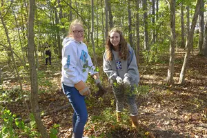 students pulling plants 