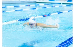 woman swimming the butterfly in the pool