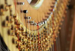 Harp-for-web