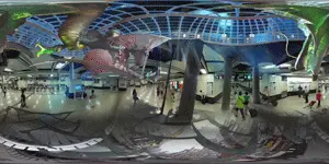 Near-and-Far-ConglomerateDistortions-for-web