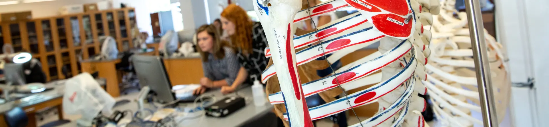 Fredonia biology students in the lab. Students at Fredonia can major in biology, get a biology degree, study biology, and earn a degree in biology.