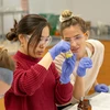 students working in a lab